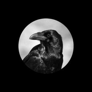 美女在网上玩繁殖l
