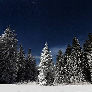 啊，粗，男，菊

