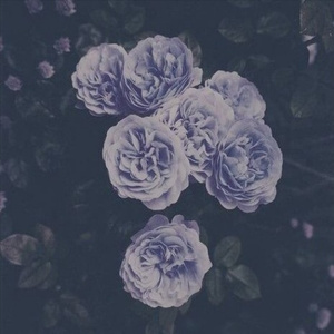 沈悦陆婷婷江晓萍大团结
