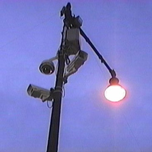 妃光莉在线观看
