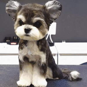 水中色影视在线播放
