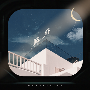 黄色干逼软件网站
