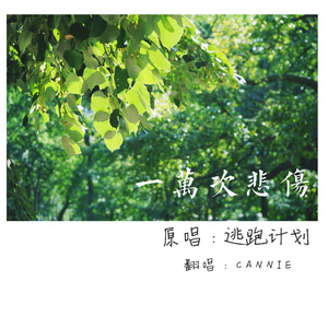 silklabo女性专区A片
