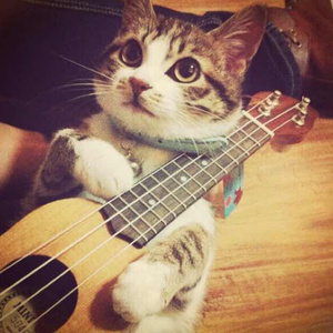 妈妈戴口球反绑手脚的视频
