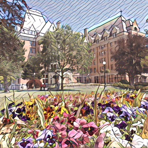 激情之双飞燕办公室
